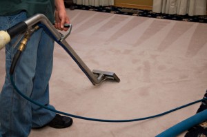 Carpet Cleaners Carpet Cleaners