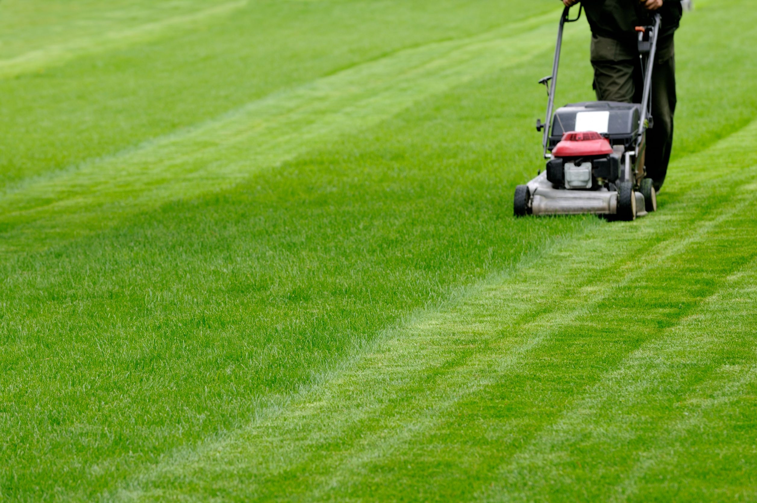 The Basics of Landscaping Equipment