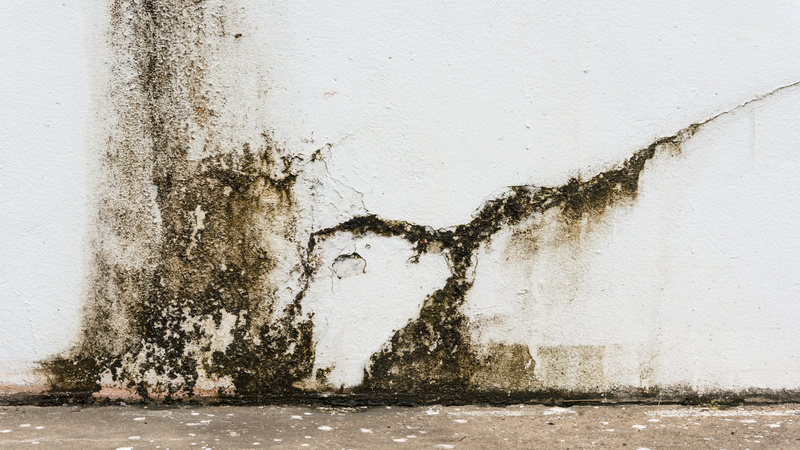 Coping After Water Damage: Restoration in San Diego