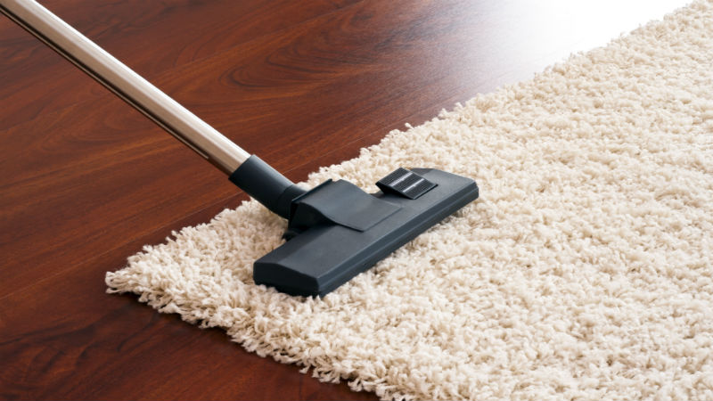 The Services Offered by a Professional Carpet Cleaner in Naples Fl