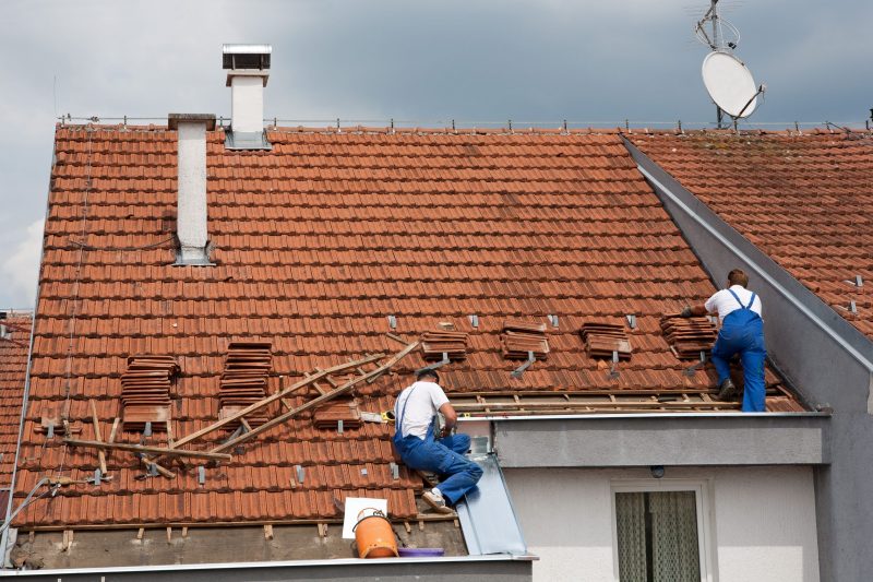 Make a Clean Start with the Best Experts in Roof Cleaning in Freehold, NJ