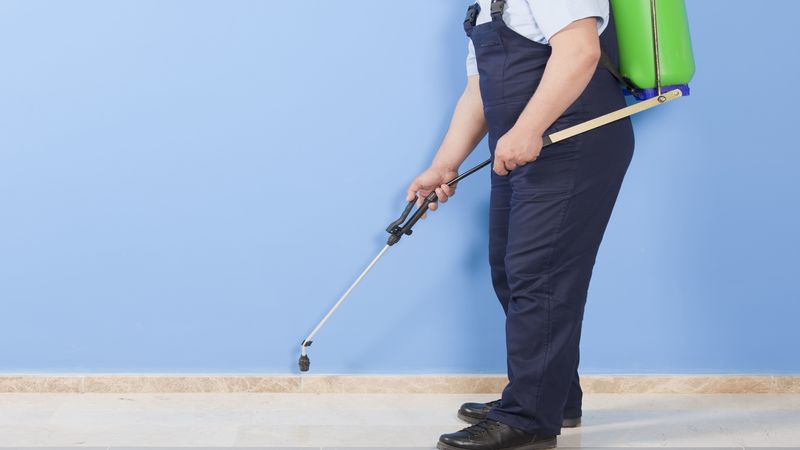 Mold Treatment Services In Ashburn, VA Improve The Health Of The Building