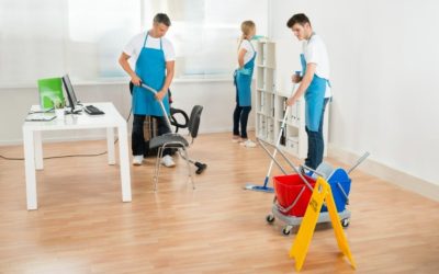 House Cleaning Services Holly Springs NC: A Guide to a Cleaner Home