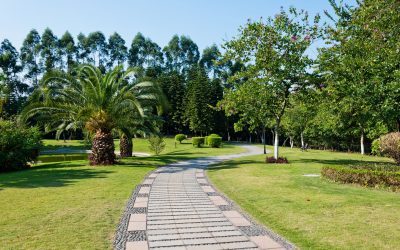 Professional and Talented Landscapers in Menifee, CA