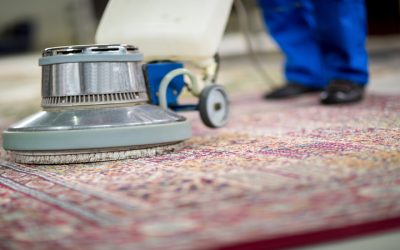 Improve Home Hygiene with a Carpet Cleaning Company Near Oregon, WI