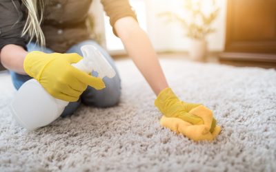 Save Time on Chores by Booking Quality Cleaning Services in Cypress, TX