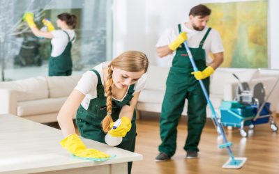 Find Peace of Mind at Home by Choosing Professional Maid Services In Olathe, KS